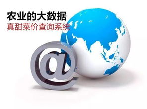 農(nóng)業(yè)信息革命 告別“現(xiàn)代社會原始人”，擁抱“真甜菜價查詢系統(tǒng)”的魔力